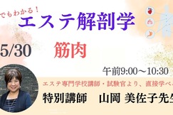 誰でもわかる!エステ解剖学【筋肉編】