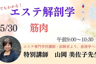 誰でもわかる！エステ解剖学【筋肉編】